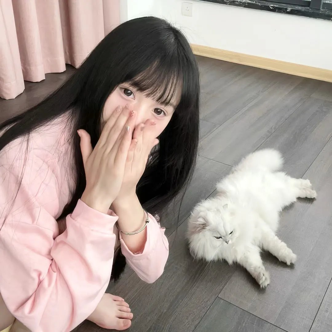 典范 在线观看